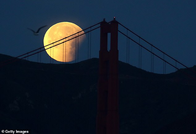 Legend has it that ghosts and spirits are very active on Halloween, but these goliath companies are not the only ones coming out on October 31st - a rare Blue Moon rising on the same day.  A Blue Moon picture hanging in San Francisco, California in 2018
