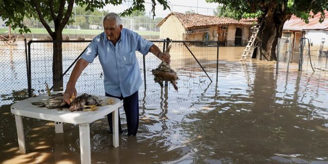 Saturday, September 19, 2020 A man holds a submerged chicken near his home in the village of Magoula near the town of Karditza.