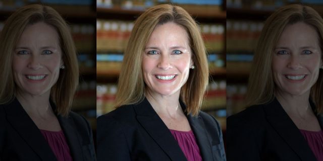 Judge Amy Connie Barrett is seen in the 2017 photo.  (University of Notre Dame Law School via Associated Press)