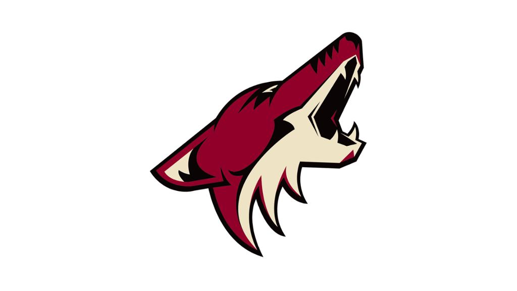 Coyotes relinquishes rights to Mitchell Miller