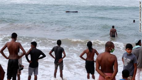 Sri Lanka rescues 100 coastal whales after mass loss