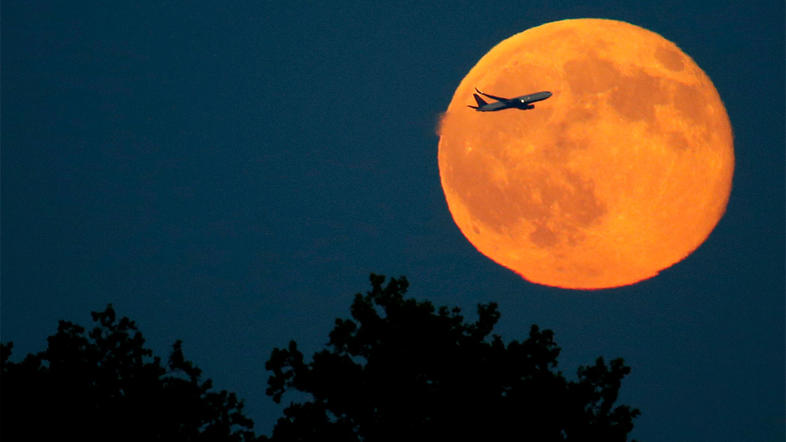 Full moon on Halloween 2020: Rare blue moon to illuminate the sky