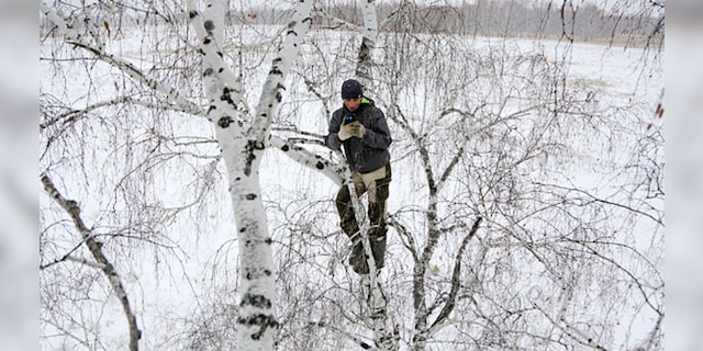 OMSK REGION, RUSSIA November 14, 2020: Student Alexei Dudolatov climbed a birch tree 300 m from his village Stankovich to pick up an Internet signal. .