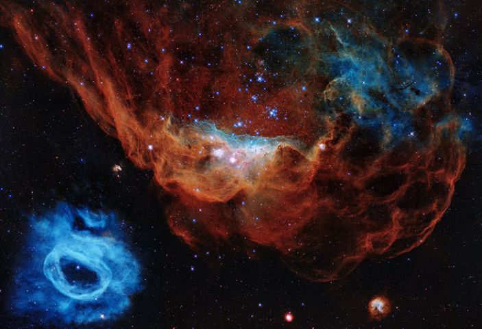 This portrait features the giant Nebula NGC 2014 and its neighbor NGC 2020