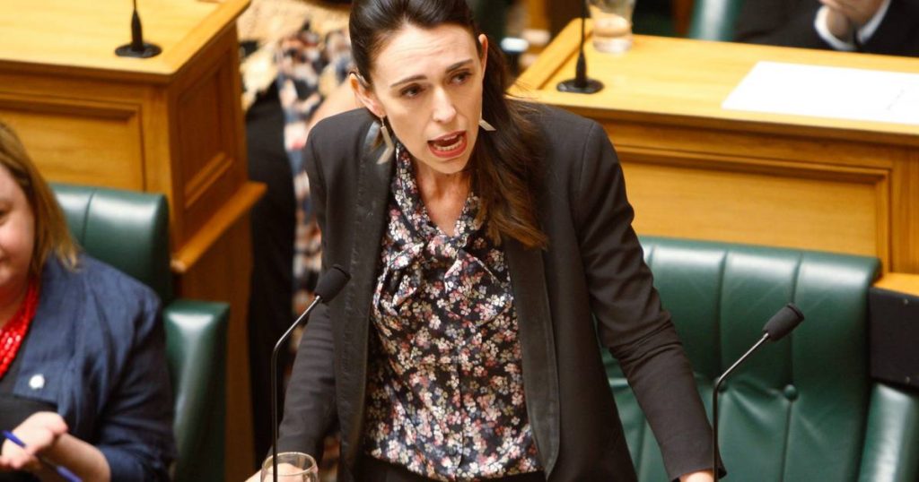 New Zealand Prime Minister calls for new elections |  Abroad
