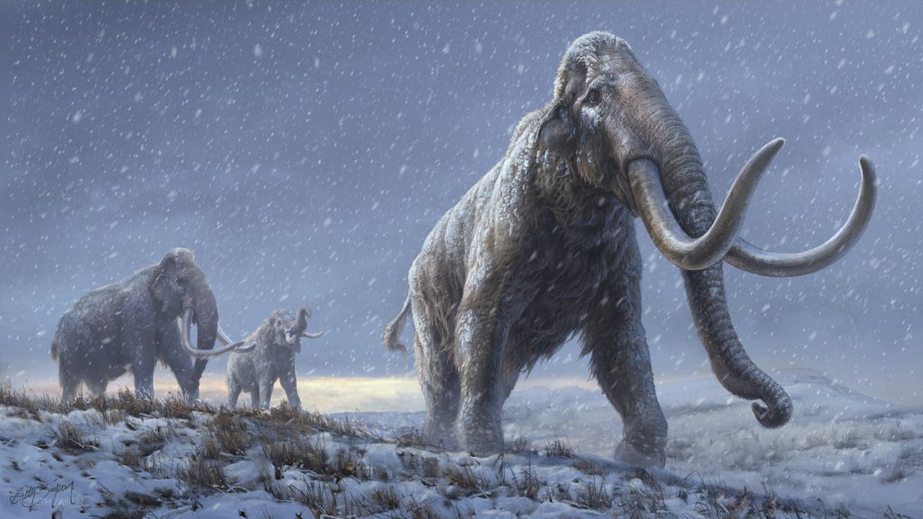 How to fight climate change by bringing back the mammoth - Wel.nl