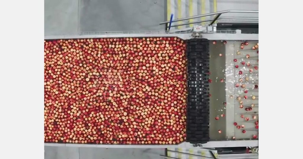 Rockit ships millions of apples to snack on
