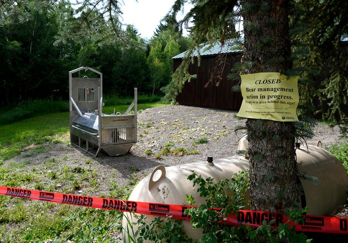 A bear trap at Ovando Campground, set up by Montana wildlife authorities.