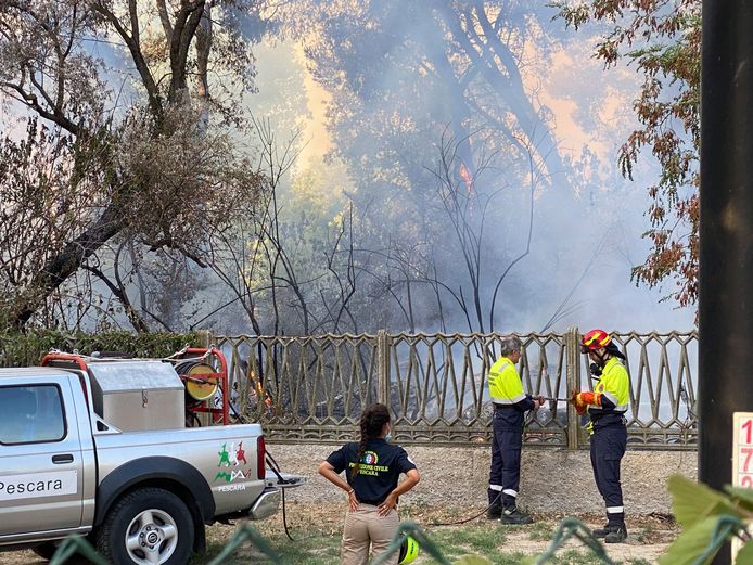 Firefighters are fighting the blaze in the Pineta Dannunziana nature reserve in Pescara.