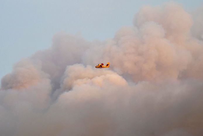 A firefighting plane extinguishes a forest fire near Kalamonas.