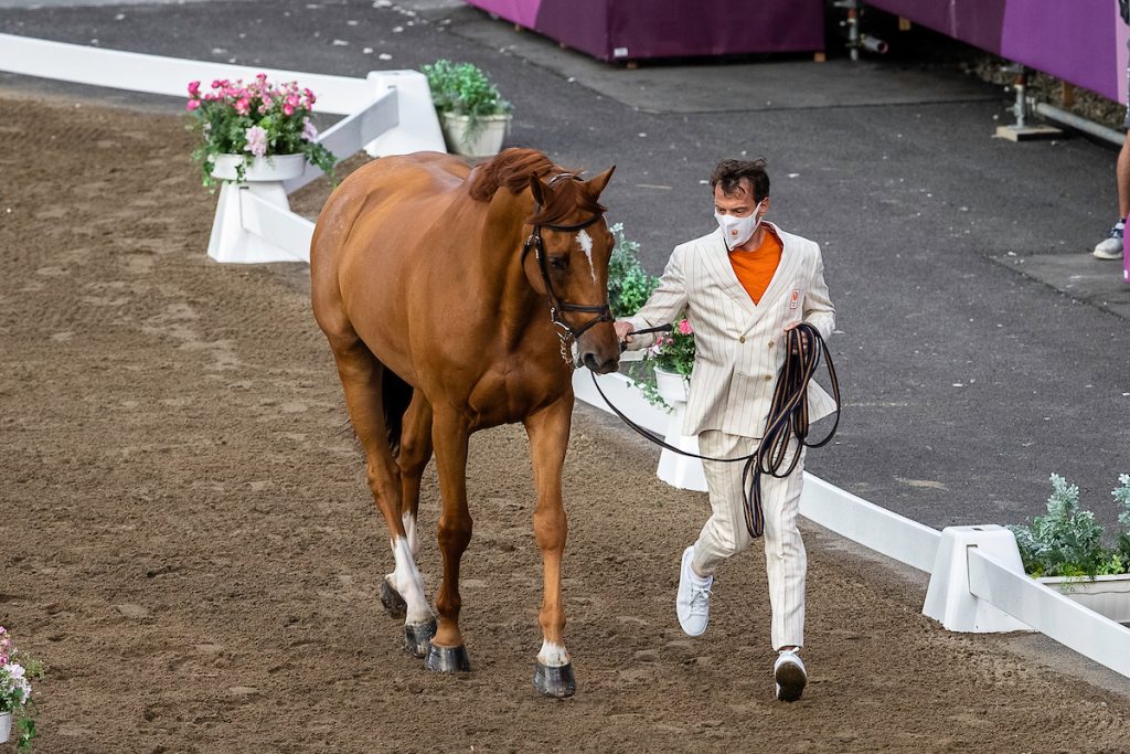 Harrie Smolders: "Mijn paard heeft ook nog geen fout gesprongen deze week"