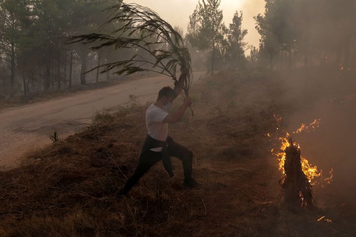 Young people use branches to fight the fire in the Tatoi region, near Athens.