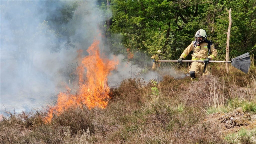 Experts: Uncontrolled wildfires increase risk, the Netherlands is poorly prepared