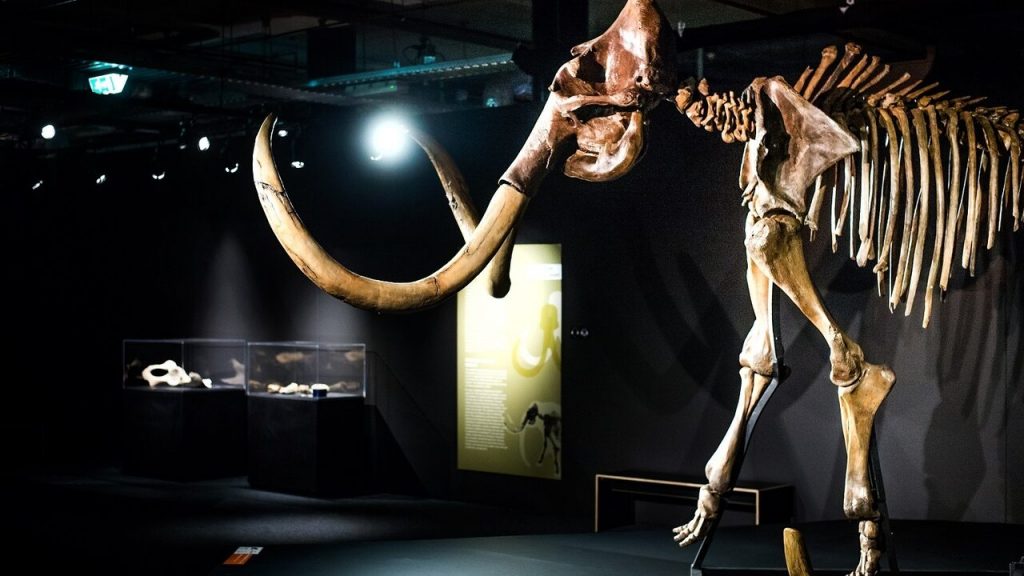Will the mammoth save us from climate change?