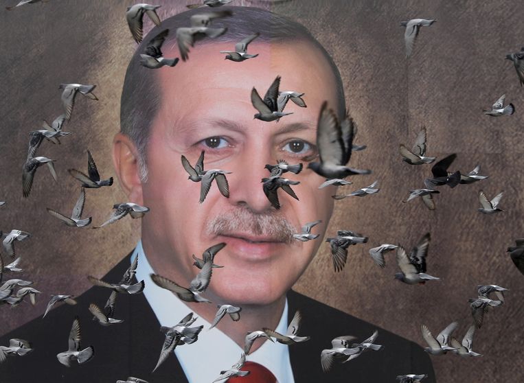 Pigeons walk past a large poster of President Erdogan in Bursa, Turkey.  Image Goran Tomasevic / Reuters