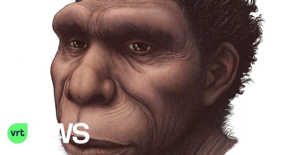Experts name new species of human ancestor, Homo bodensis, to end 'confusion'