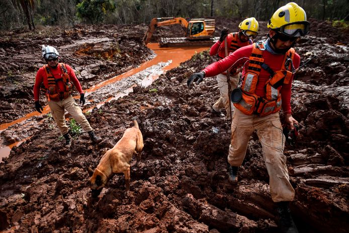 For months after the disaster, rescue workers with sniffer dogs searched for victims.