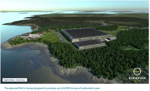 Kingfish Announces Major Progress at Precision-Aquafarm, Licensed in US