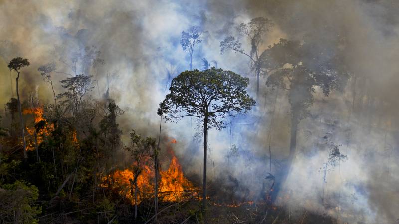 First “Glasgow” commitment: ending deforestation by 2030
