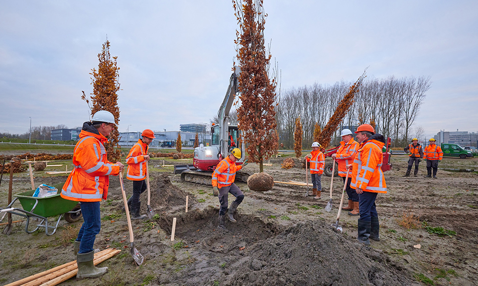 Green compensation RijnlandRoute has started - Province of South Holland
