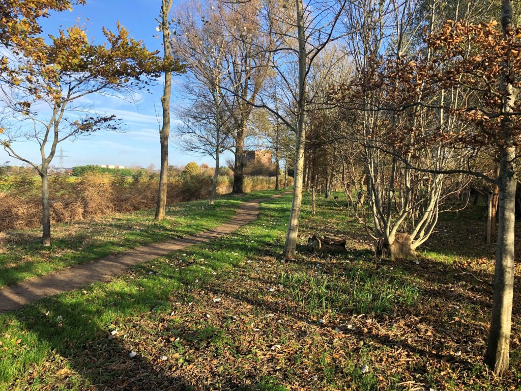 Teylingen and MEERGroen offer residents an ecological green space