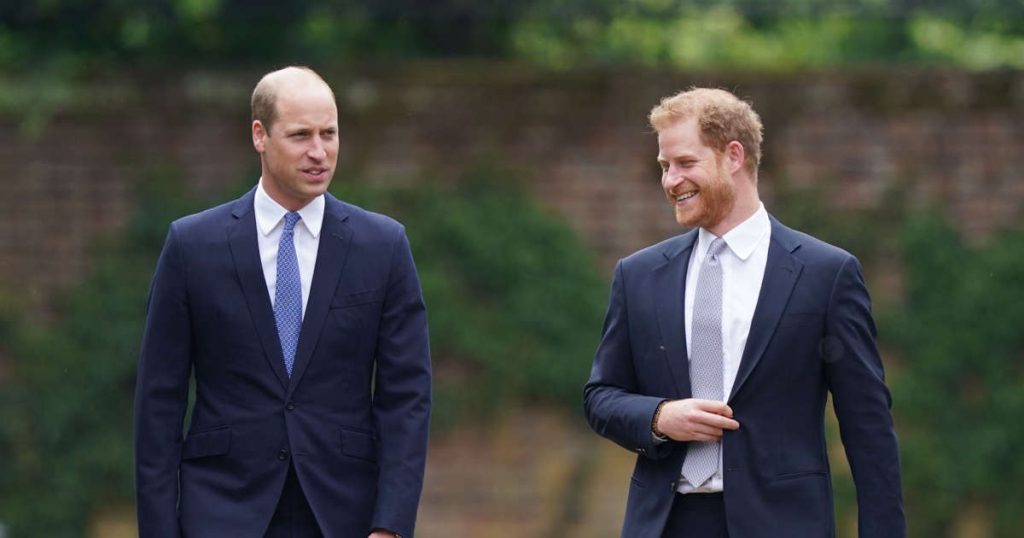 Prince William and Prince Harry are working together again