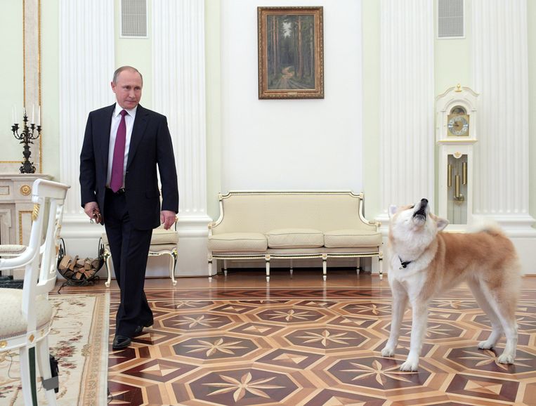 Vladimir Putin with his dog Yume.  Reuters Image