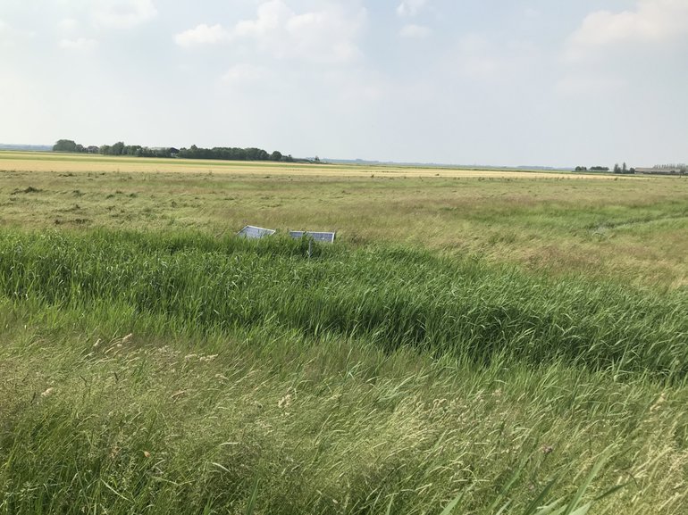 Ditches on farmland flooded with solar water pumps