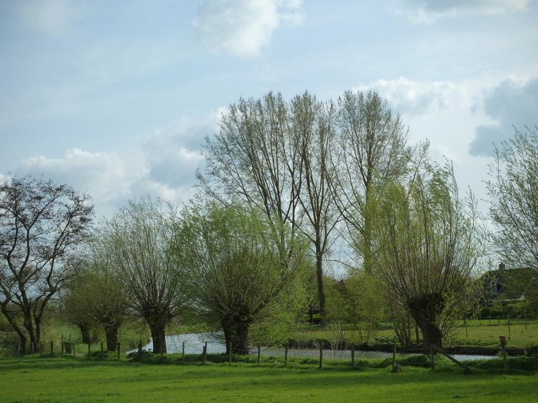 Landscape with the Kromme Rijn