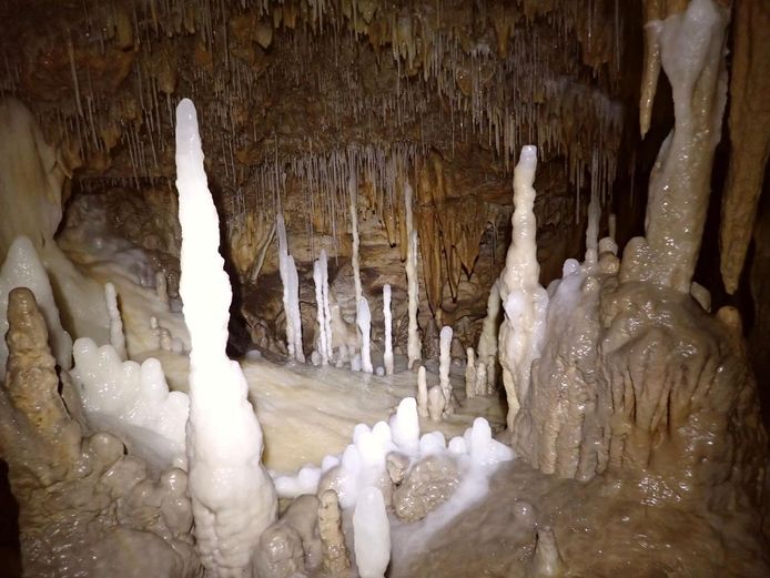 In the cave the speleologists found the typical stalactites and stalagmites, as are often found in other caves.  They also found clear signs of human presence in the cave.