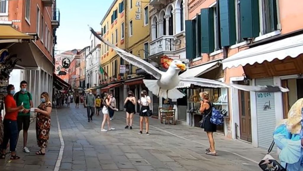 Tourists equipped with water guns against harmful seagulls Venice