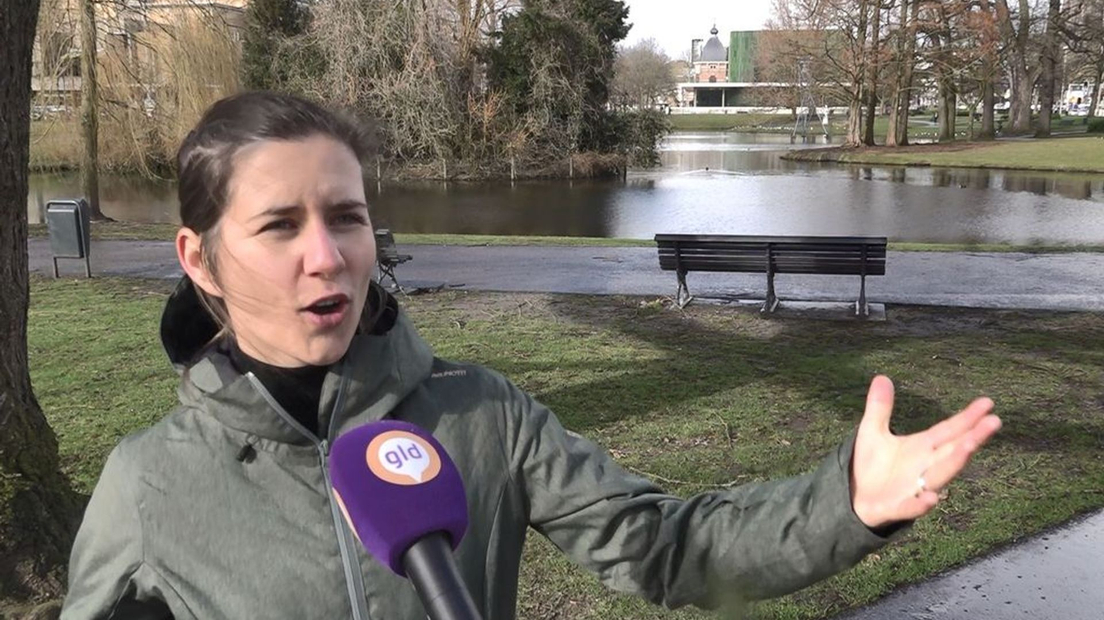 Researcher Ilse Voskamp describes the possible future in Arnhem's Lauwerspark.