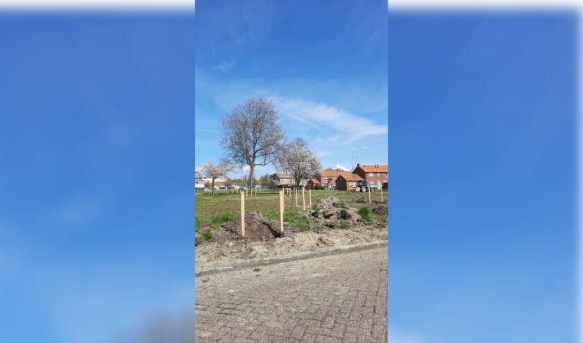 Eerste bomen in nieuw park Smerdiek-West