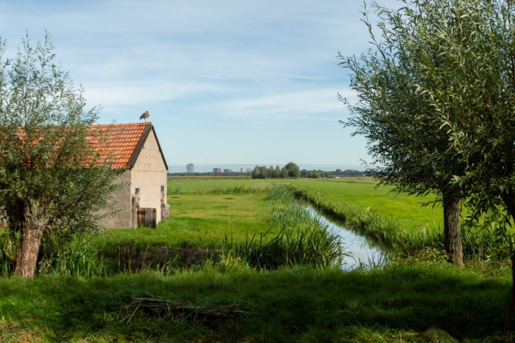 Is Polder Rijnenburg the perfect location for the new Utrecht rowing water?