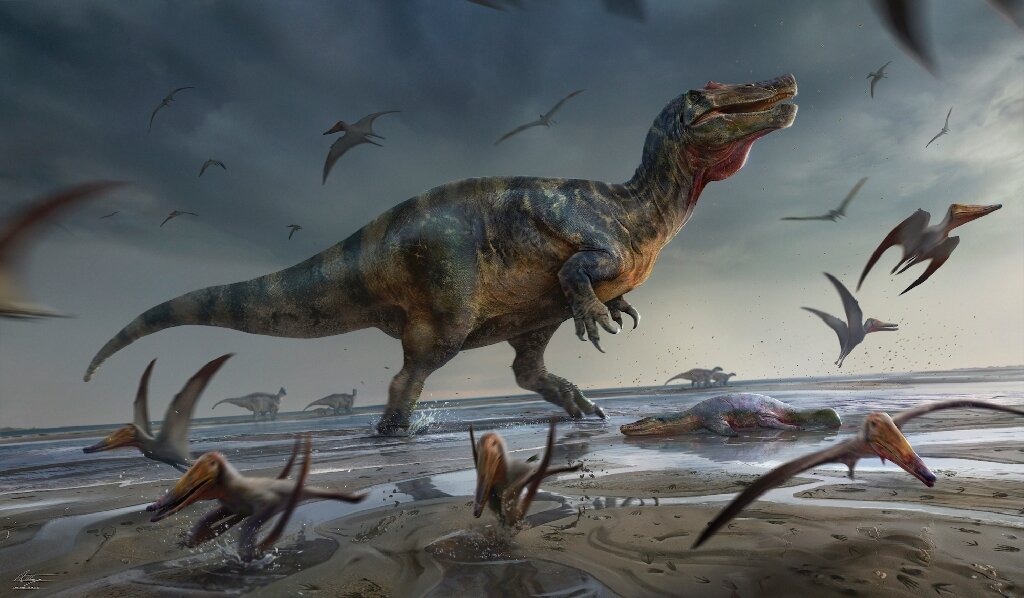 Europe's largest predatory dinosaur 'discovered by British fossil hunter'