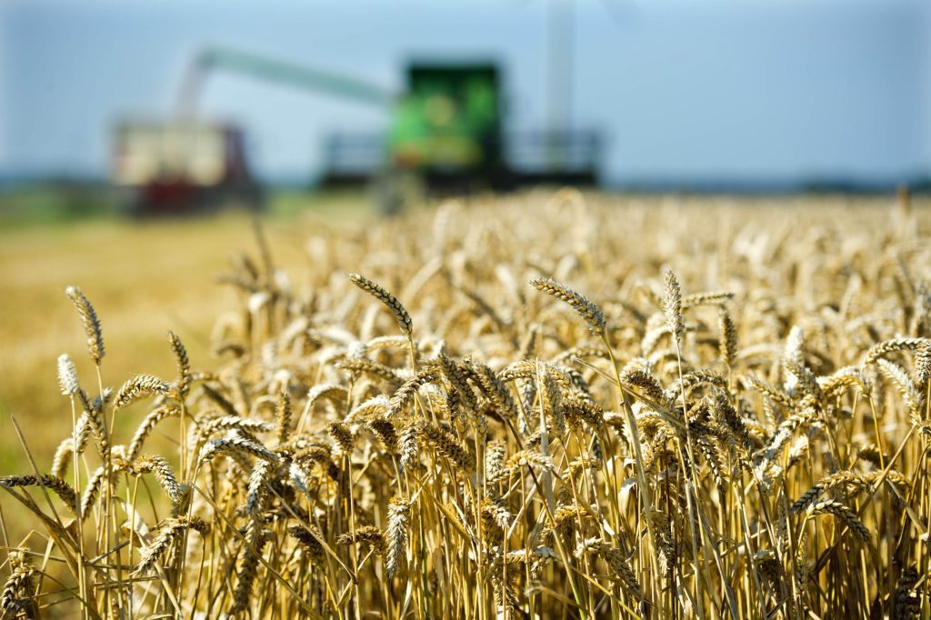 Agreement on the supply of grain to Ukraine via Odessa