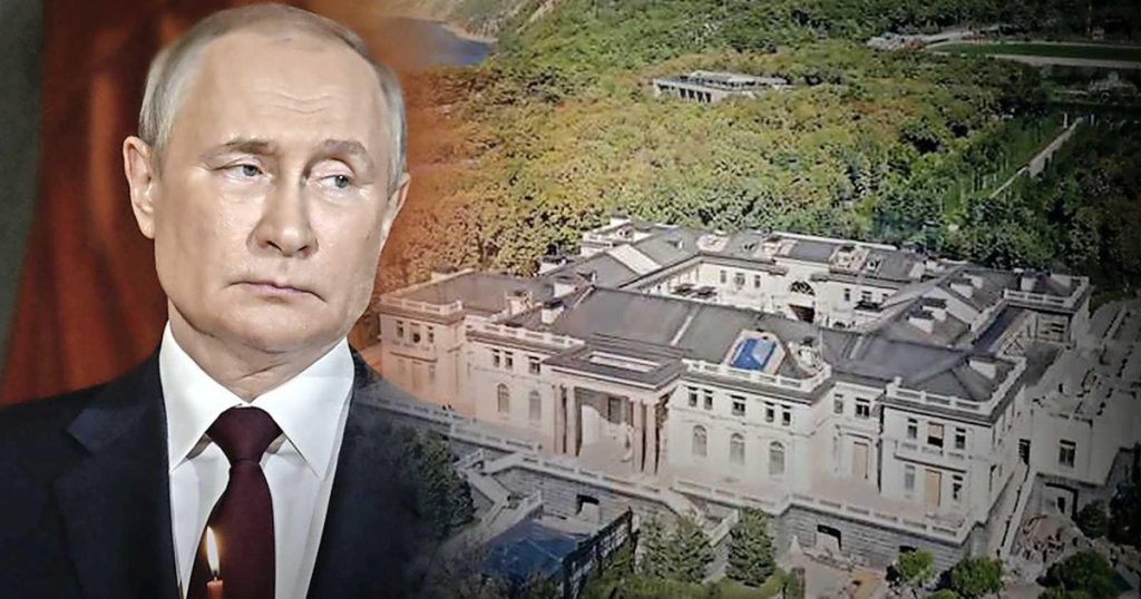 'Network exposed with fake Putin companies: worth 4.28 billion' |  Abroad
