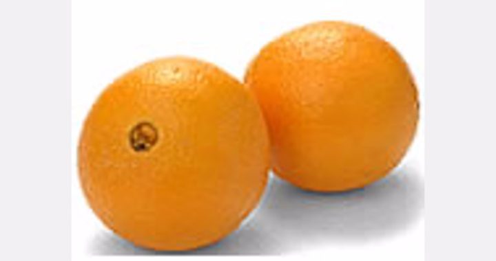 "Political pressure obscures scientific basis of new cold treatment law for South African oranges"