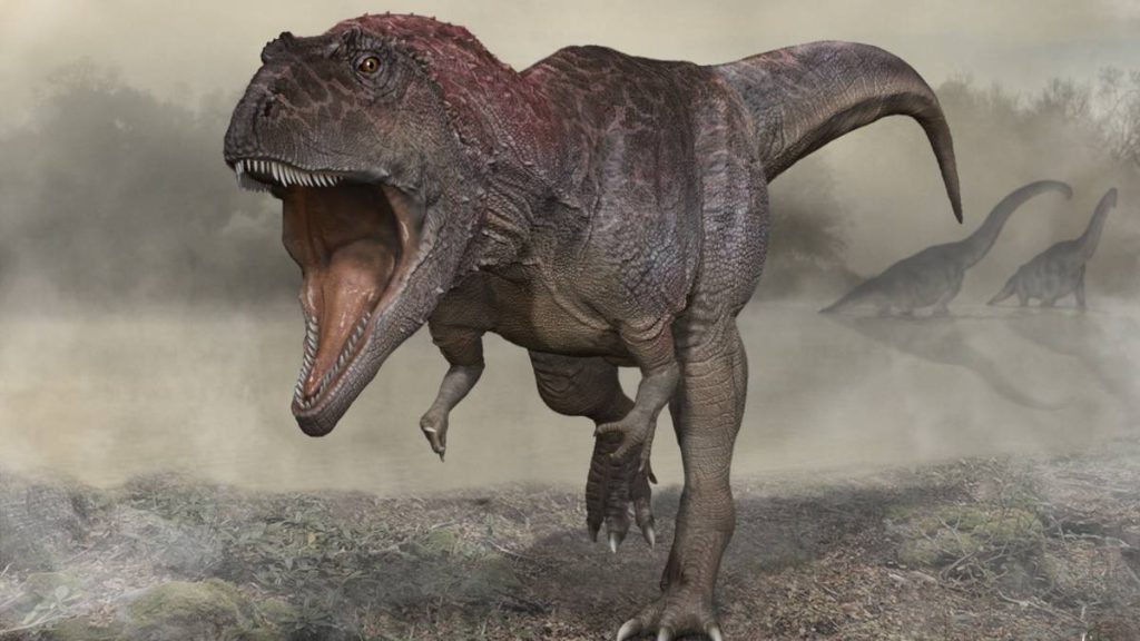 Why did the T. Rex have short arms?  A new dinosaur revives the debate