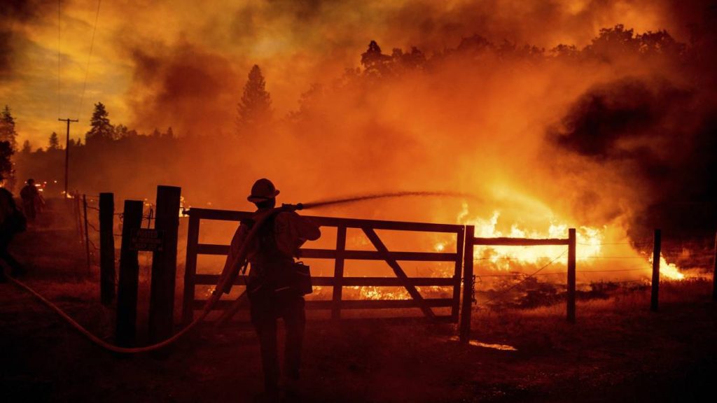 New California wildfire destroys at least 4,000 acres of wildlife in 9 hours