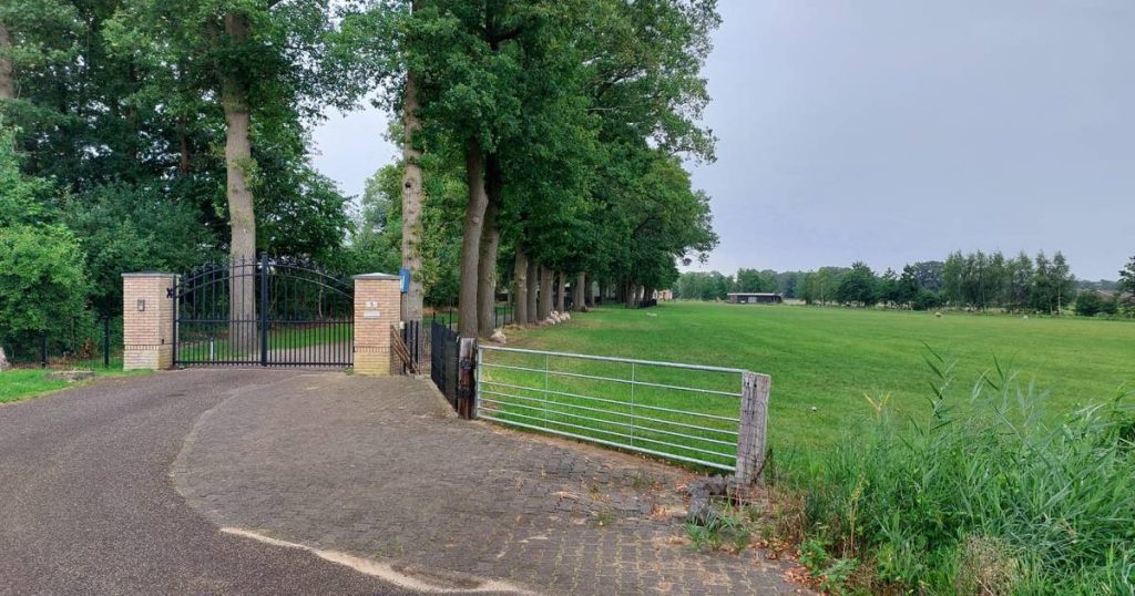 25 motorhome pitches and 3 rooms on the farm in nature between Weerselo and Oldenzaal: “We want to start as soon as possible” |  Oldenzaal