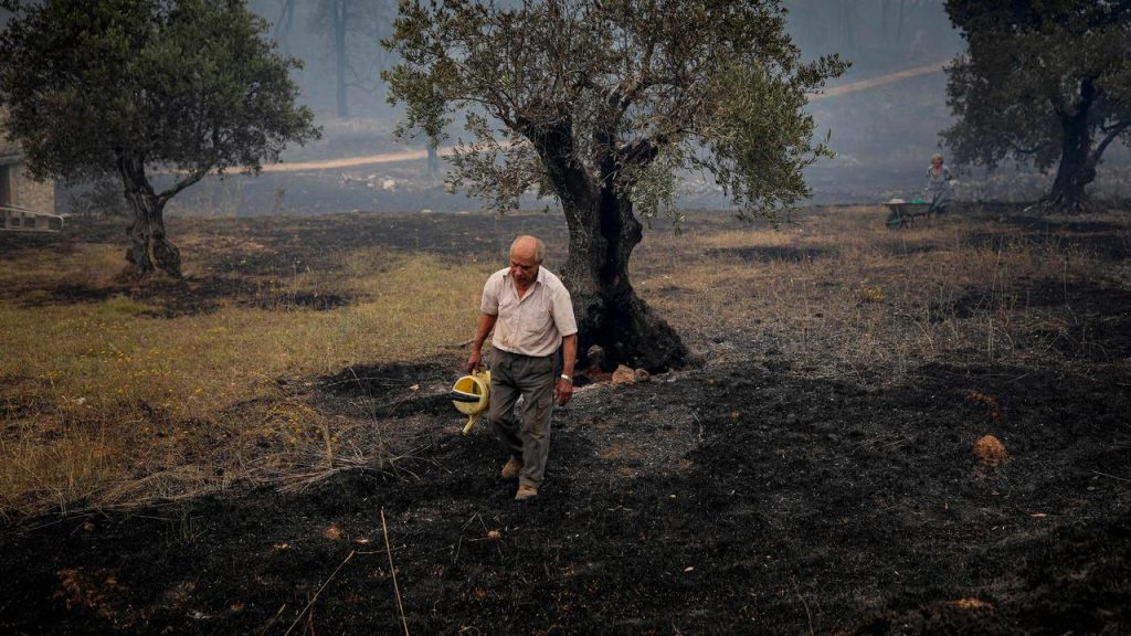 Portugal and Spain ravaged by forest fires and temperatures above 45 degrees |  NOW