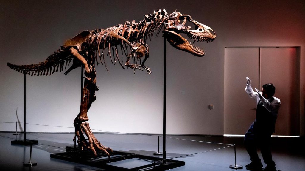 Skeleton predecessor of T. rex sold at auction for 6 million euros, scientists displeased |  Science