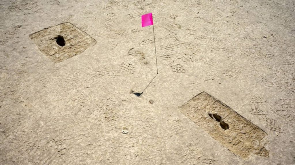 Ancient human footprints discovered in the American desert