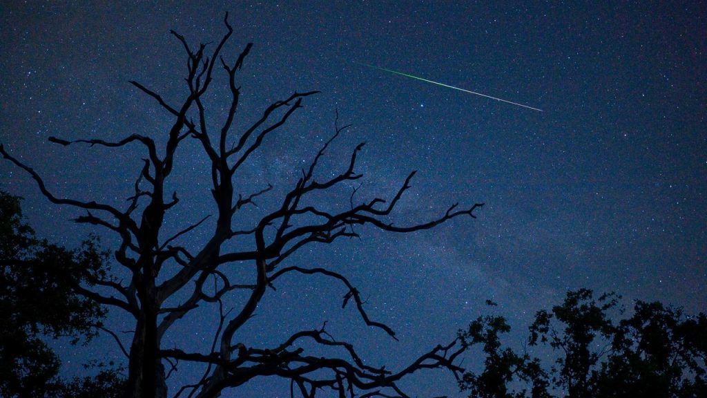 Circumstances aren't ideal, but this way you can see shooting stars tonight |  Science