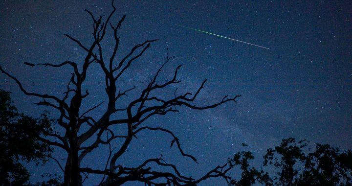 Circumstances aren't ideal, but this way you can see shooting stars tonight |  Science