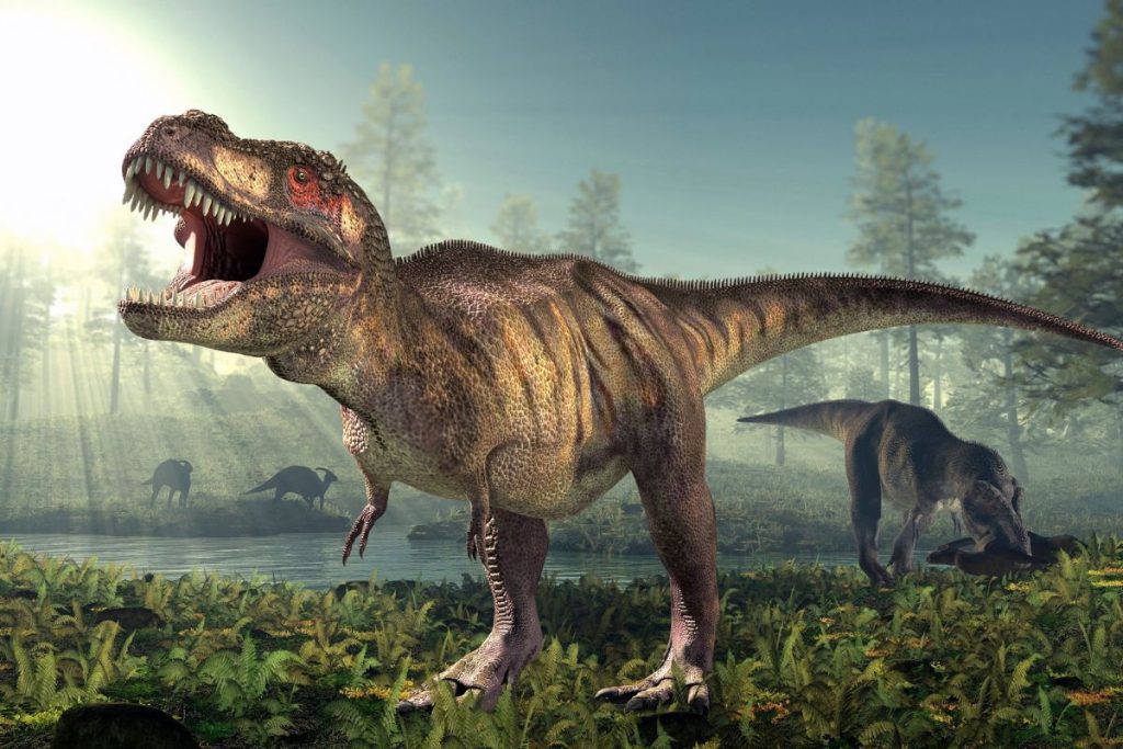 The mighty T. rex had small eyes