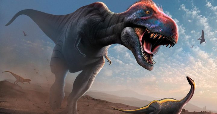 T. rex likely evolved smaller eyes for a better bite |  Science