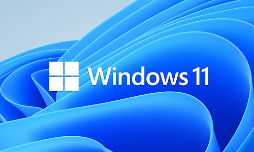 Are you using Windows 11?  That's what you told us