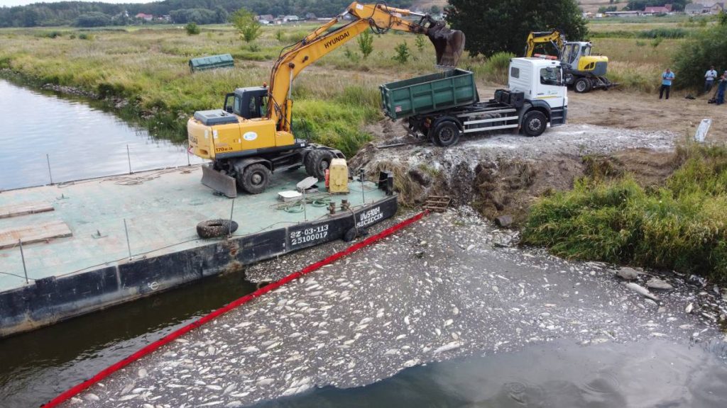 160,000 kilos of dead fish in Polish rivers, cause of an environmental disaster still unknown